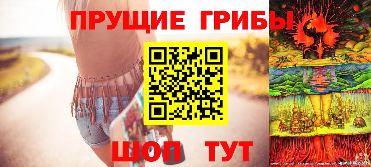 Псилоцибиновые грибы GOLDEN TEACHER  Вход с VPN  Сафоново  Галлюциногенные грибы Psilocybine cubensis 