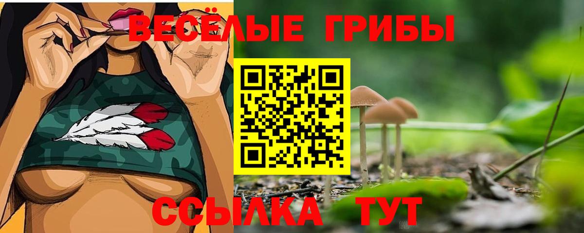 Галлюциногенные грибы Psilocybine cubensis Сафоново